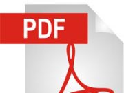 PDF-Icon