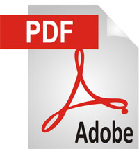 PDF-Icon