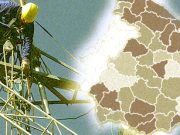 La España desconectada: 50.000 pueblos sin cobertura de banda ancha rápida