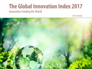 The Global Innovation Index 2017 The Global Inn-6