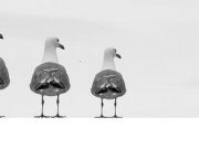 excluidos-portada-09-07-18