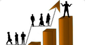 Disciplinas y niveles