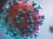 Reunión Comisión seguimiento COVID 19