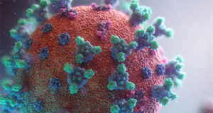 Reunión Comisión seguimiento COVID 19