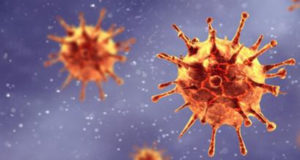 II Reunión Comisión seguimiento COVID 19