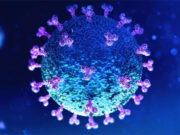 V Reunión de la Comisión de seguimiento del COVID 19