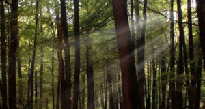 habitad-portada-03-08-2020