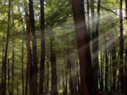 habitad-portada-03-08-2020