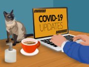XXVIII Comisión de seguimiento de la COVID-19