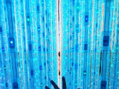 Mirando al futuro con garantías para las personas trabajadoras